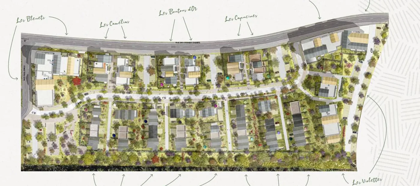 Plan masse exploité par un économiste de la construction pour les métrés et quantitatifs d'une opération de 265 logements